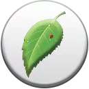 Бесконечное лето