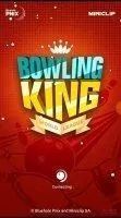 Bowling King Скриншот 1
