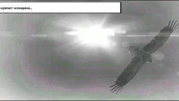 Six-Guns - Gang Showdown Скриншот 3