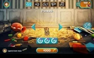 Cat Simulator Скриншот 2