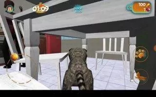 Cat Simulator Скриншот 8