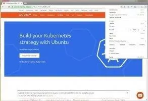 Comodo Dragon Скриншот 10