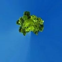 Tiny Planet Fx Pro Скриншот 6