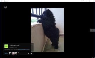 ВКонтакте Скриншот 5