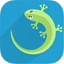 GT Recovery - Восстановление