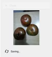 JPEG Конвертер Скриншот 5