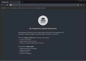 Chromium Скриншот 6