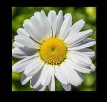 Cool Slider Скриншот 2