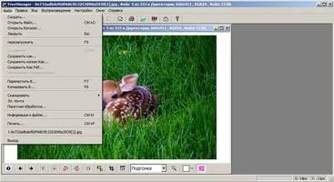 FreeVimager Скриншот 2