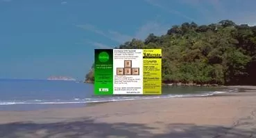 GoSing Karaoke Player Скриншот 1