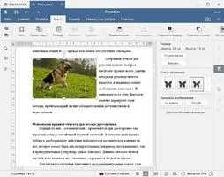 ONLYOFFICE Desktop Editors Скриншот 1