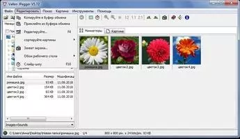 Vallen Jpegger Скриншот 4