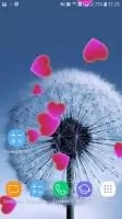 Одуванчик живые обои Скриншот 2