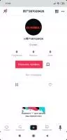 TikTok Скриншот 3