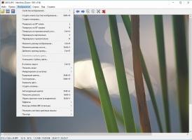 IrfanView Скриншот 3