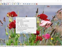 IrfanView Скриншот 6