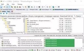 DC++ Скриншот 3