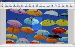 FastStone Capture Скриншот 5