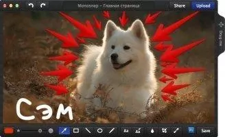 Monosnap Скриншот 6