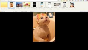FastStone Image Viewer Скриншот 3