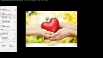 FastStone Image Viewer Скриншот 5