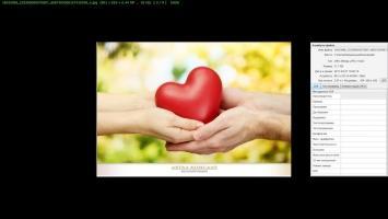 FastStone Image Viewer Скриншот 6