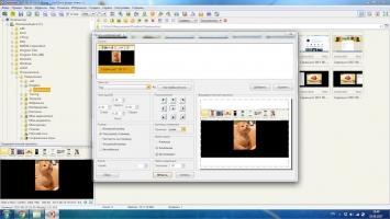 FastStone Image Viewer Скриншот 9