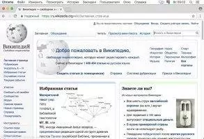 Google Chrome Скриншот 2