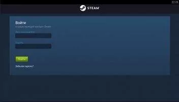 Steam Скриншот 1