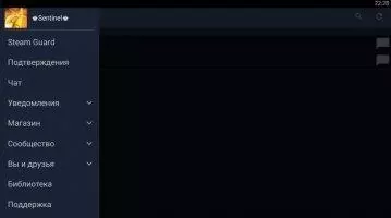 Steam Скриншот 7