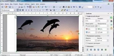 OpenOffice Скриншот 2
